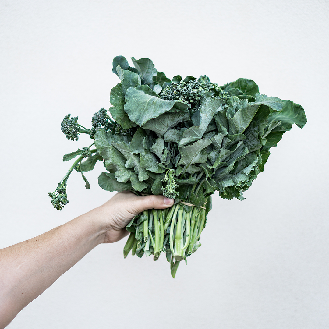 GE-TERROIR_2