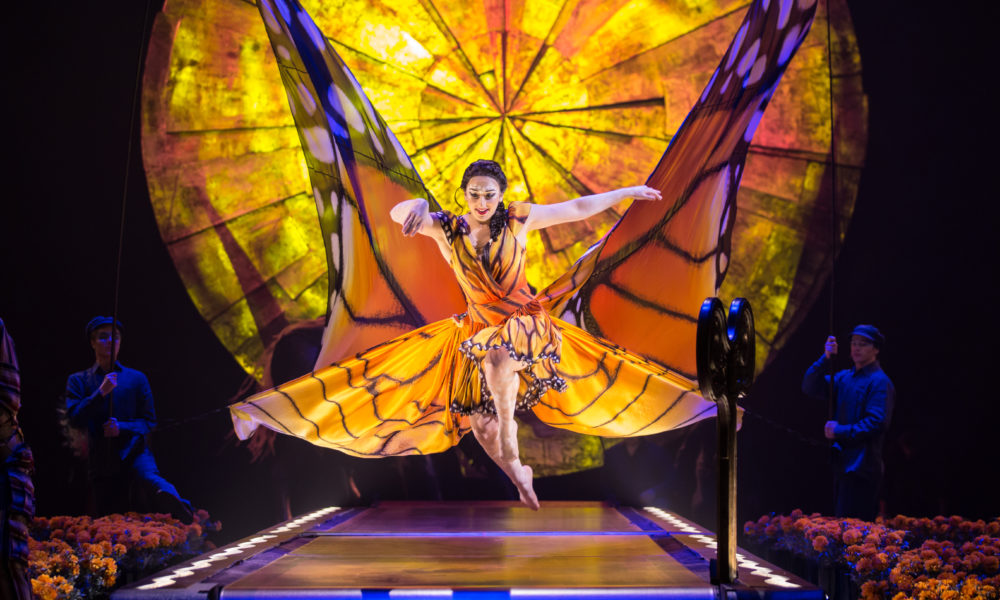 Cirque du Soleil Luzia