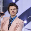 Harry Styles Gucci collection