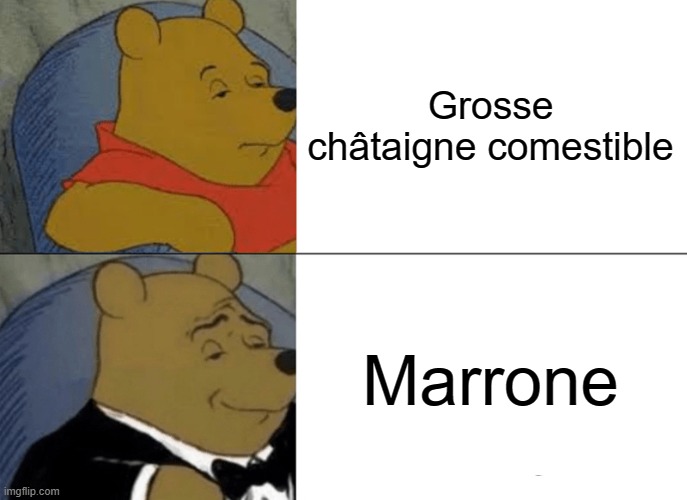 Winnie l'Ourson meme