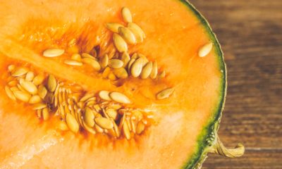 Melon recettes