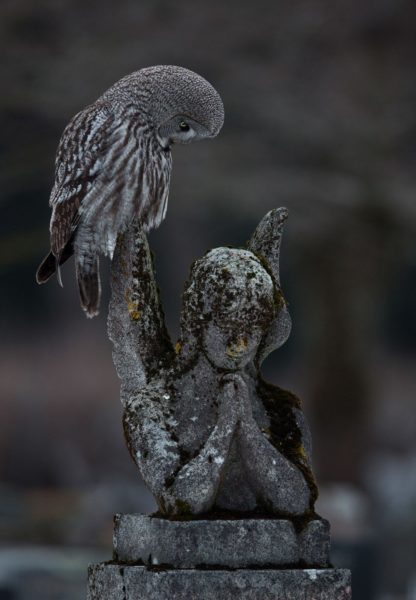 'A Moment of Prayer' by Arto Leppänen