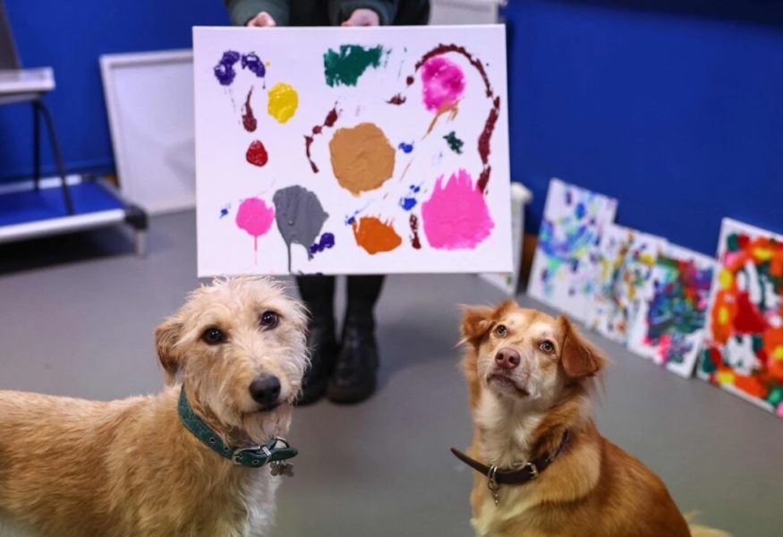 Des chiens deviennent peintres pour un centre de secours