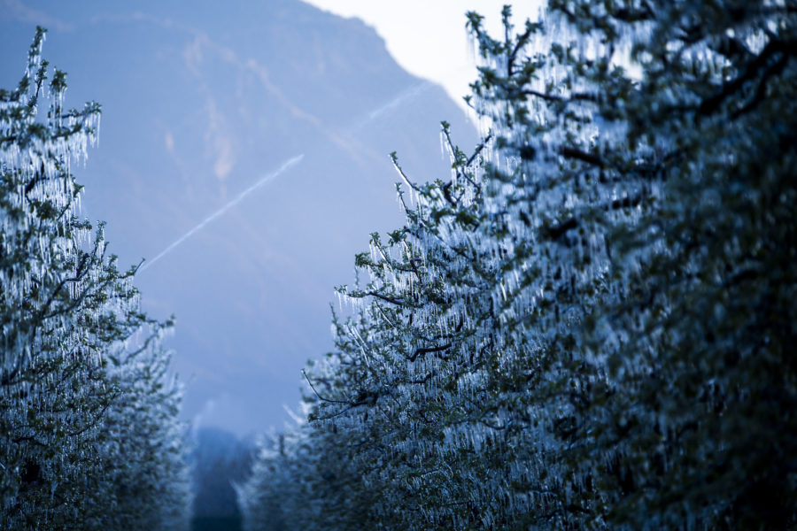 La semaine s'annonce glaciale en Suisse romande