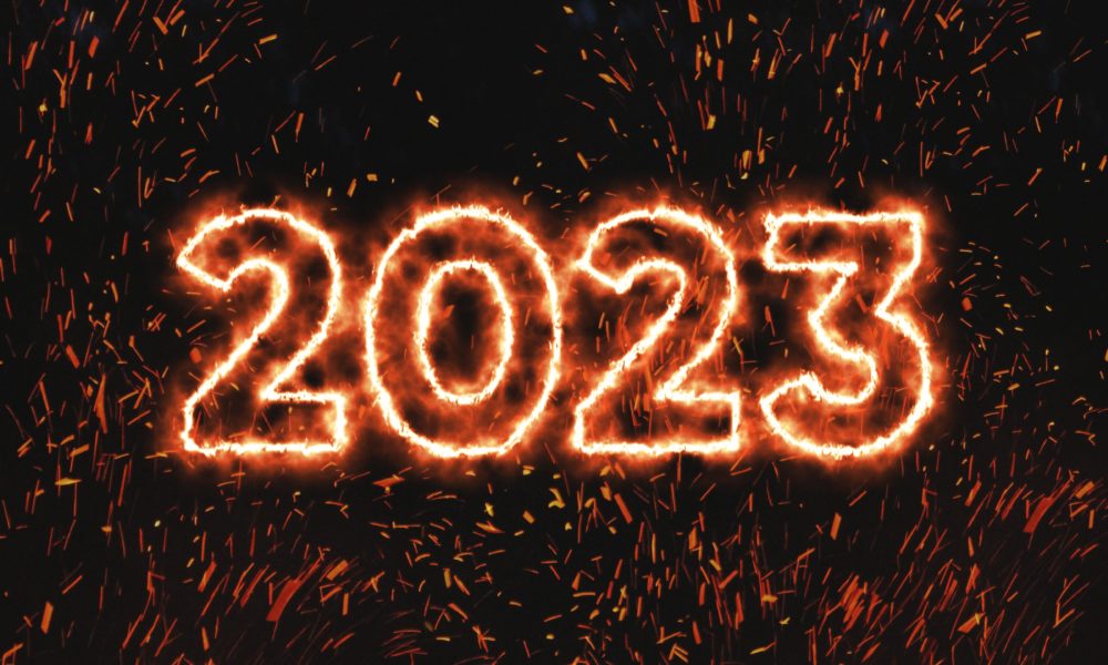 Année 2023 Cee-Roo