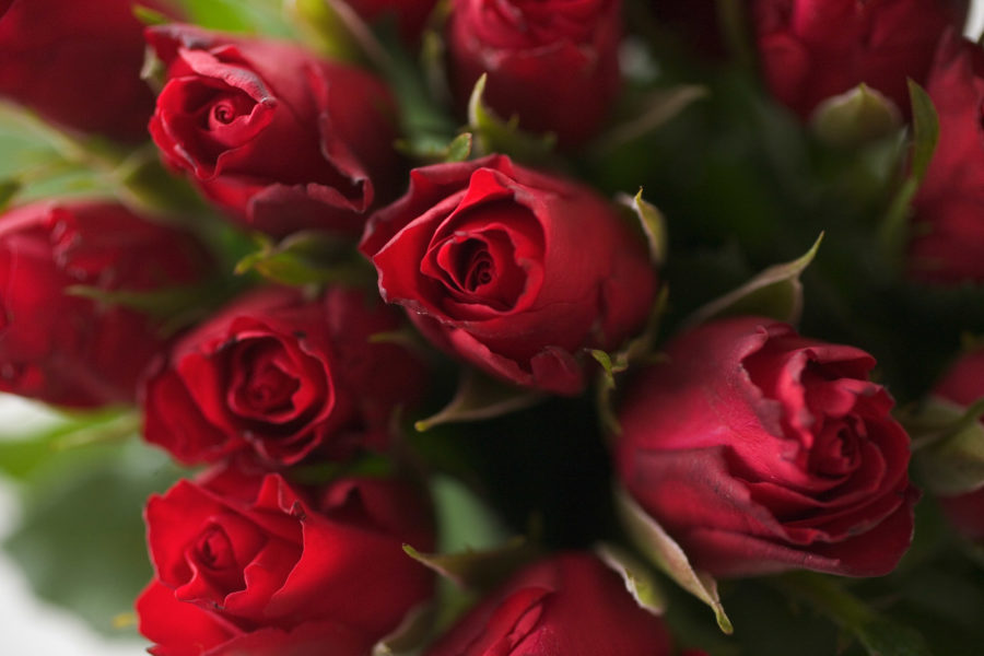 Que représente la Saint-Valentin en 2024?