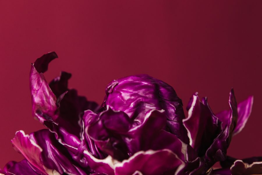 Recettes chou rouge