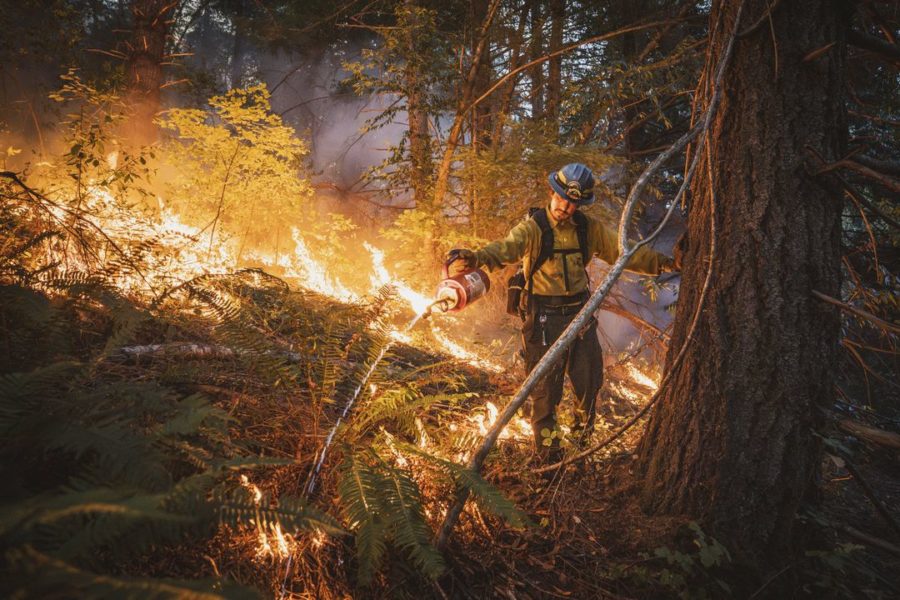 BigPicture « Good Fire »
