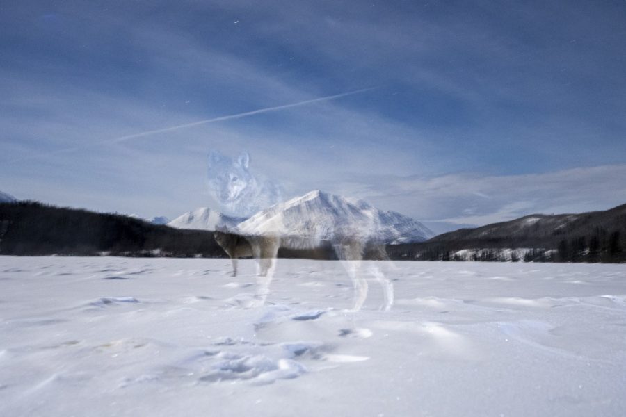 BigPicture « Ghosts of the North »