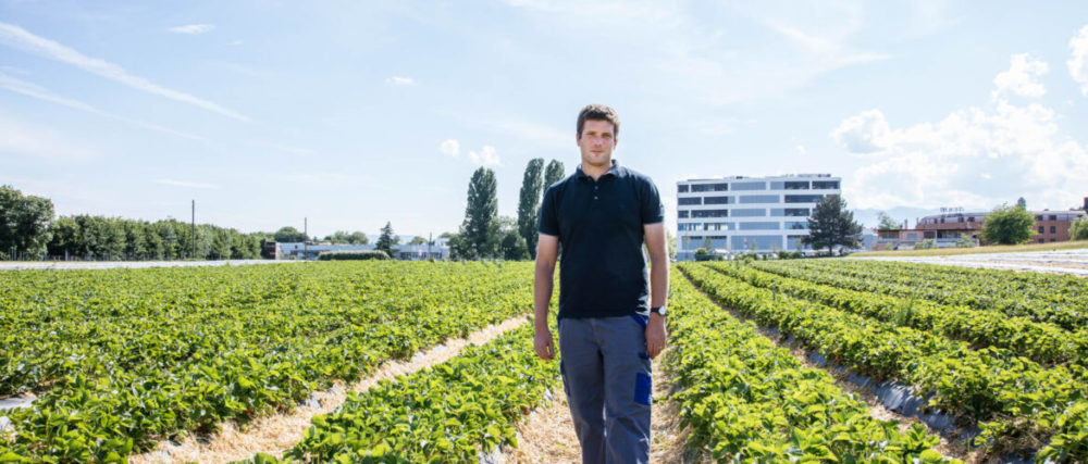 Micro Terroir - Christophe Stalder de la ferme de la feuillasse