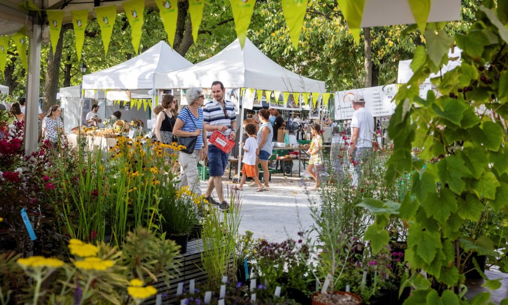 Festi'Terroir événement 2024