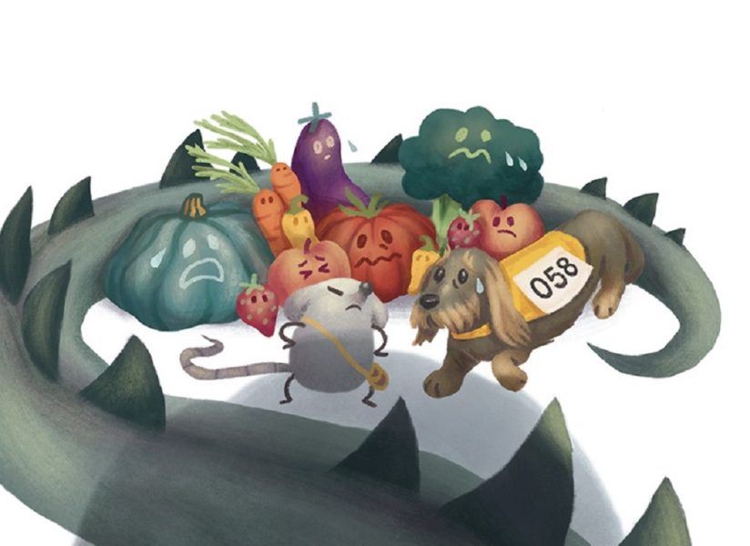 Un conte pour sensibiliser les enfants aux produits du terroir