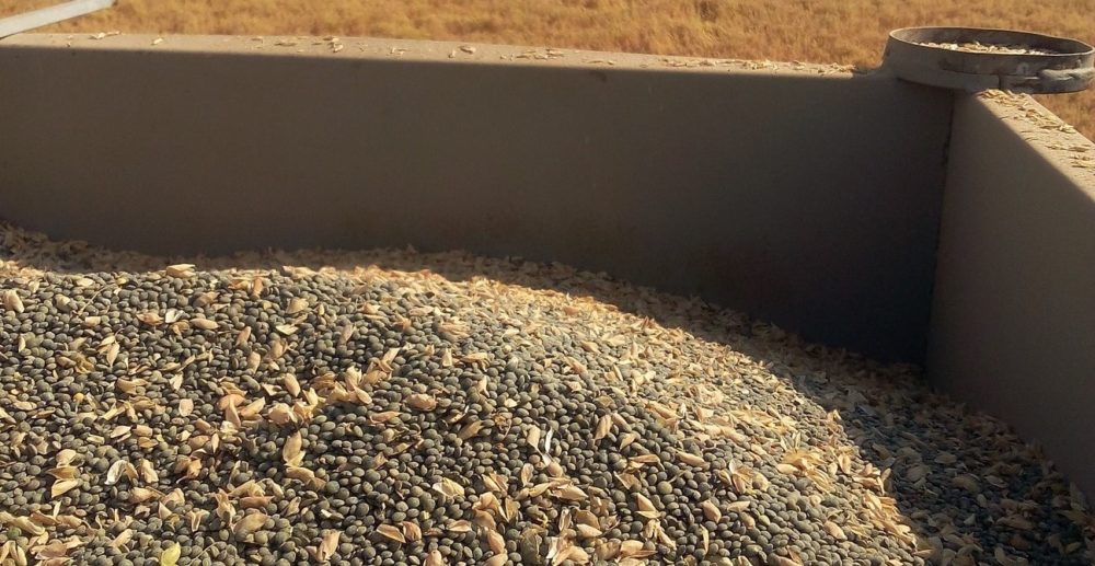 Micro Terroir - Les lentilles de la Petite Grave à Cartigny