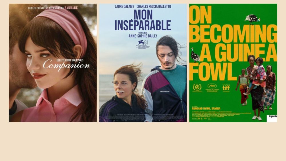 Sorties ciné 29.01.25 P2