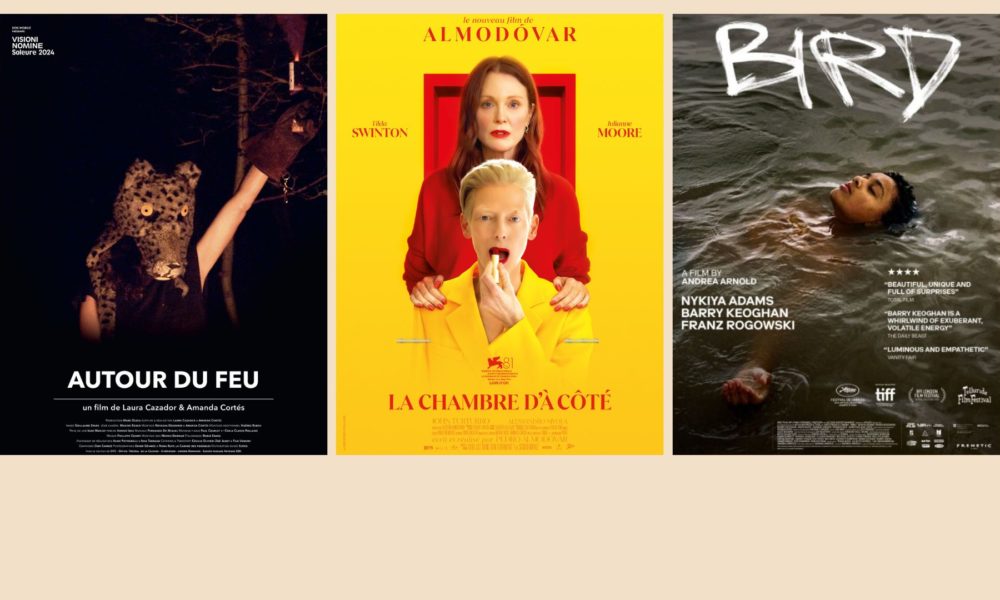 Sorties cinéma 08.01.25 P1