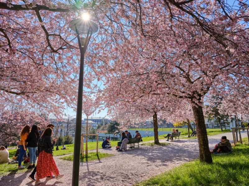 Que faire ce week-end à Lausanne (22-23 mars) ?