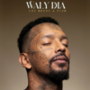 Portrait de Waly Dia les yeux fermés, avec des mots tatoués sur le visage, illustrant l’affiche de son spectacle "Une heure à tuer".