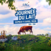 Une vache en pâturage illustre la tradition laitière mise à l’honneur lors de la Journée du lait organisée par les LRG.