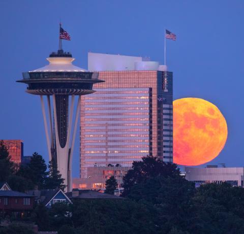 Buck Moon and the Needle by Mara Leite Seattle, USA